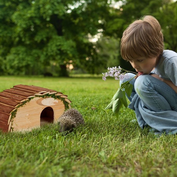 Schron, domek drewniany dla jeża