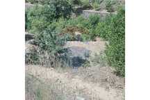 Terreno Rustico