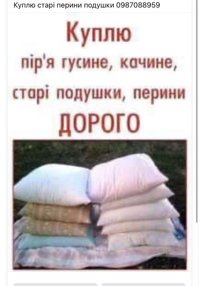 Піря пирини подушки