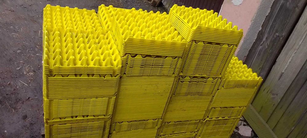 Wytłaczanki na jajka plastikowe