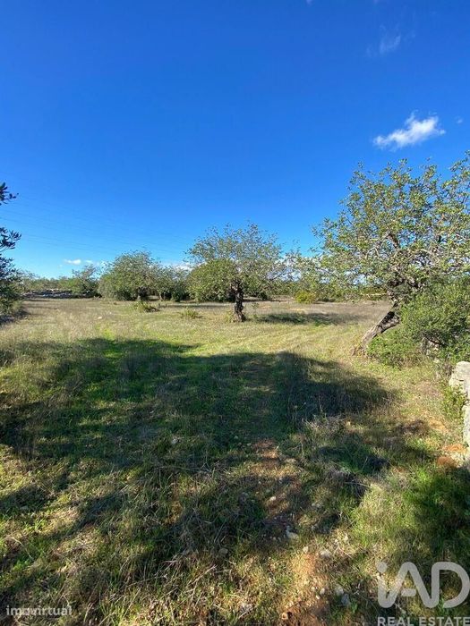 Terreno Agrícola em São Brás de Alportel de 7100,00 m2