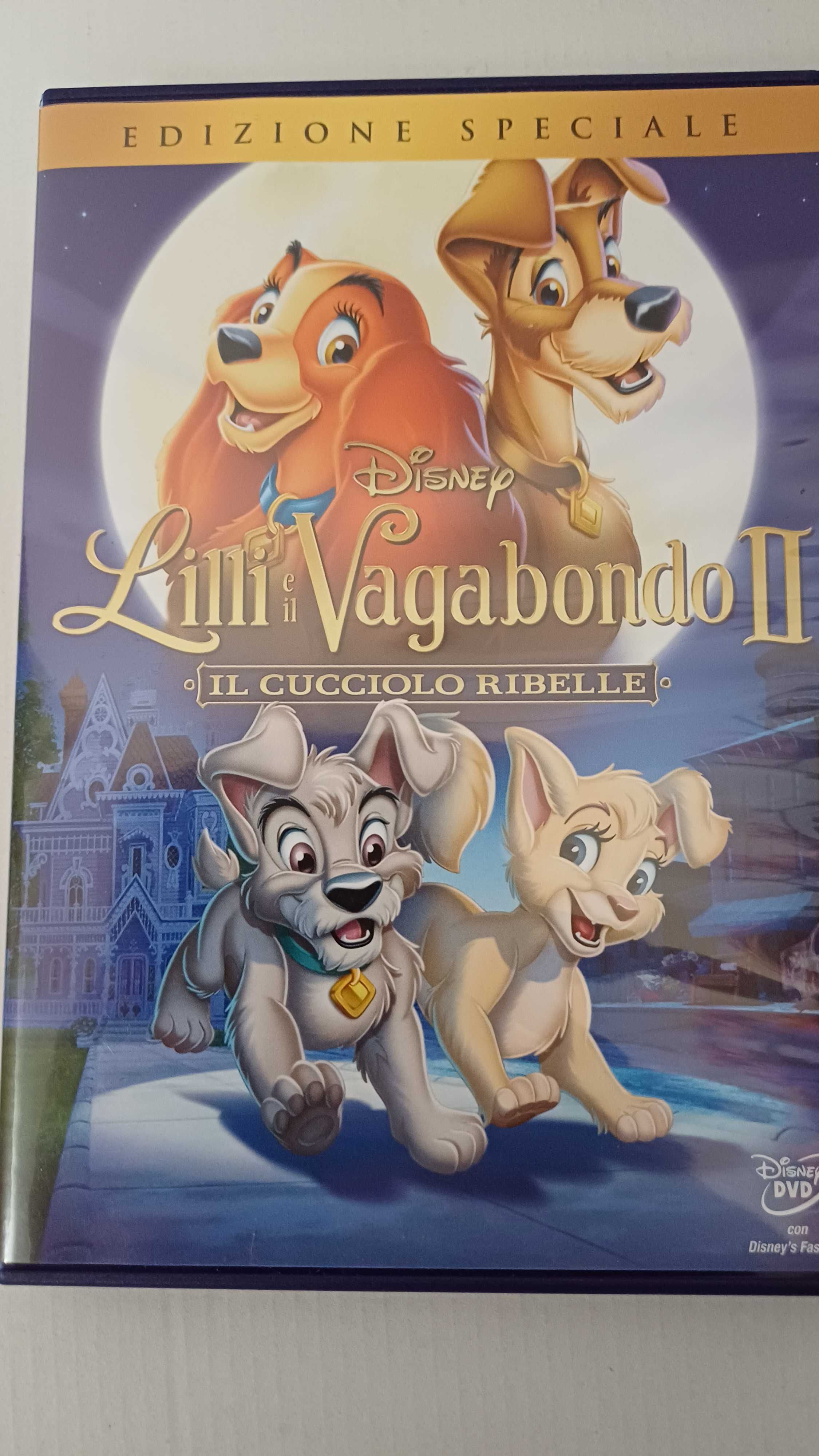 DVD Zakochany Kundel cz.2 po włosku i po angielsku, bez polskiego