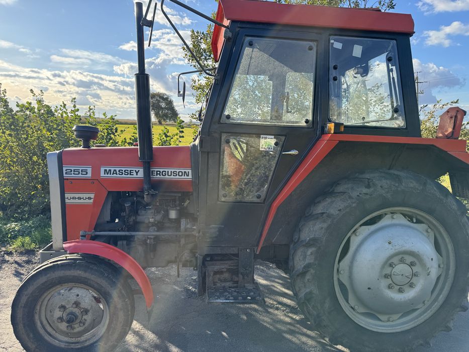 URSUS Massey Ferguson 255