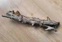 naturalny korzeń dł. 35 cm do akwarium terrarium