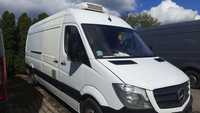 Mercedes-Benz Sprinter 315  SPRINTER 315 maxi, 2009 r, CHLODNIA, izoterma, THERMO KING, HAK, VAT1