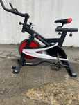 Bicicketa estatuca