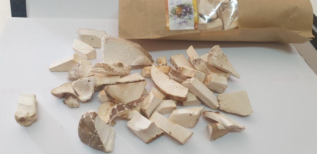 Białoporek brzozowy 50g suszony
