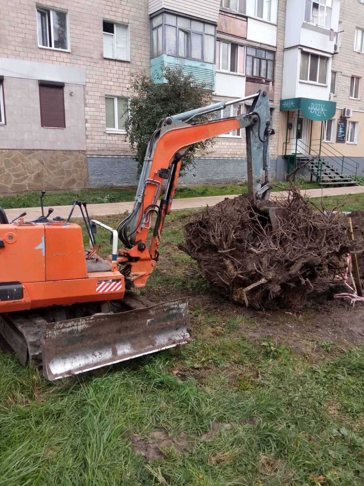 Послуги Міні Екскаватор-Евакуатор