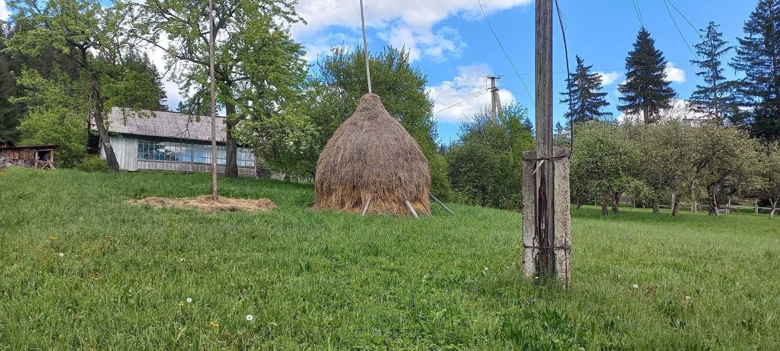 Будинок і земля в Карпатах, гори, ліс, струмок
