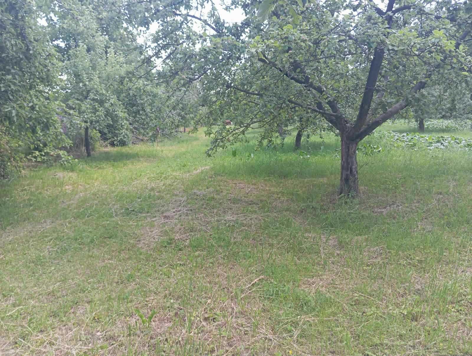 (3) Продам земельну дялнку в с. Щітки 0756