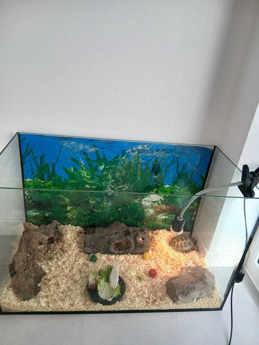 Terrarium zestaw żółw akwarium lampa grzewcza