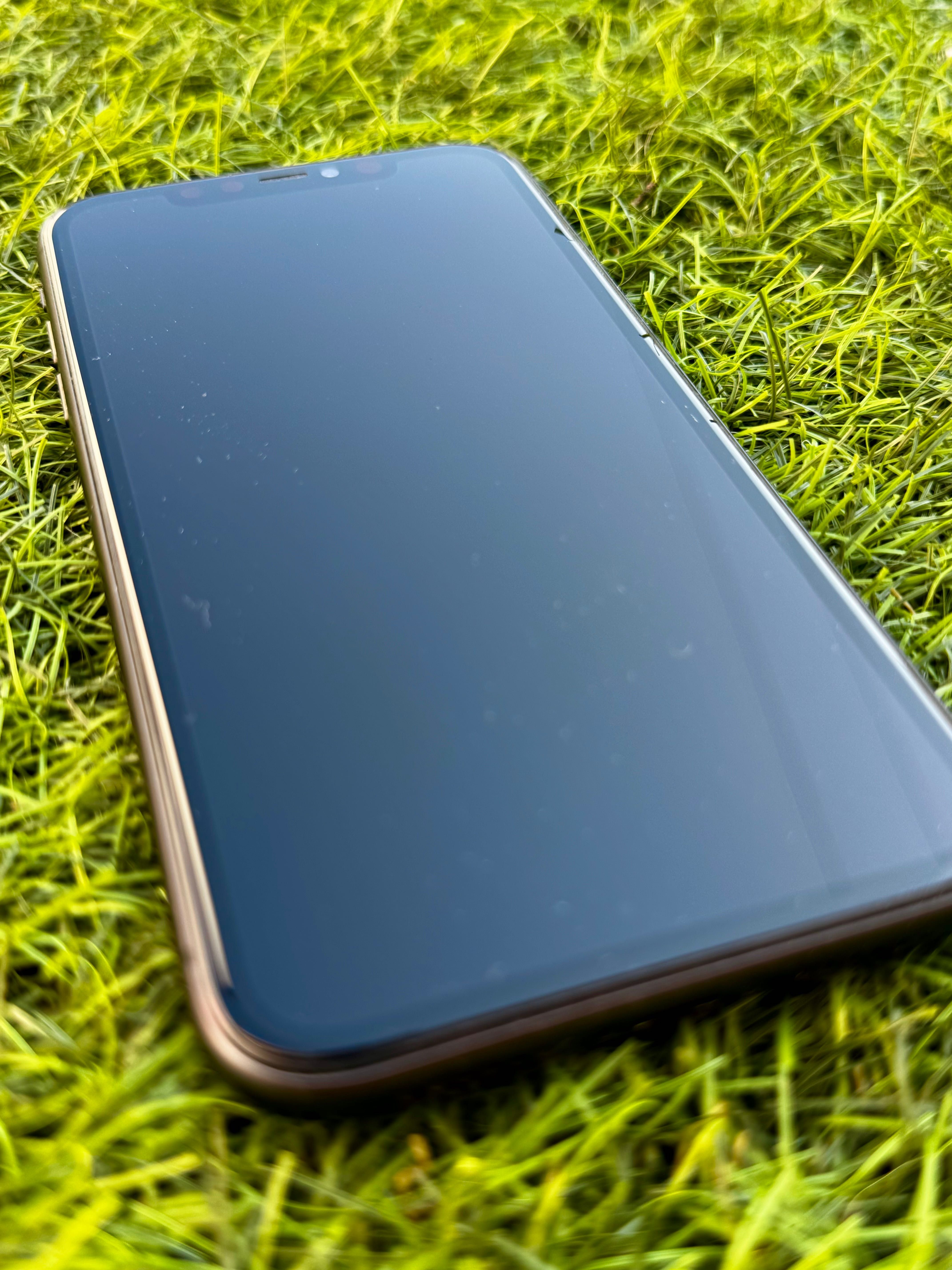iPhone 11 + capa + (bateria nova)