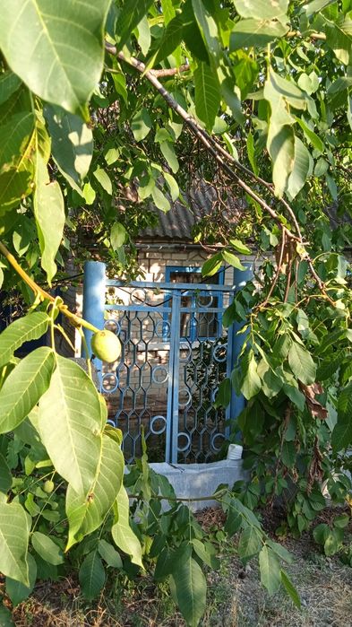 Продам дачу в Осетровке, "Мотор-5"