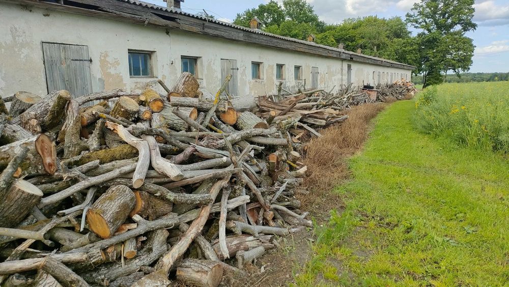 Drewno opałowe  dąb, grab, jesion, olcha, klon mieszane