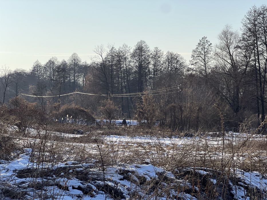 Земля 6гек Пуховка начало Лес свет газ асфальт интернет