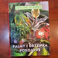 Palmy i drzewka pokojowe