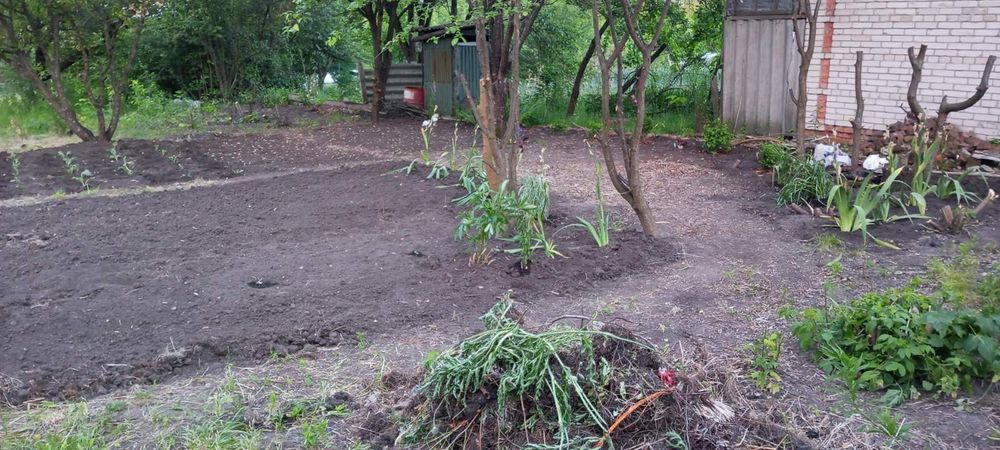 Продам дачну ділянку 6 сот