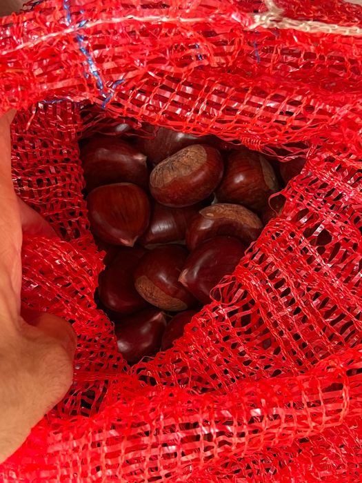 Vendo castanha em Lisboa