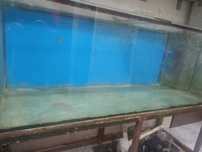 Akwarium 840litrow