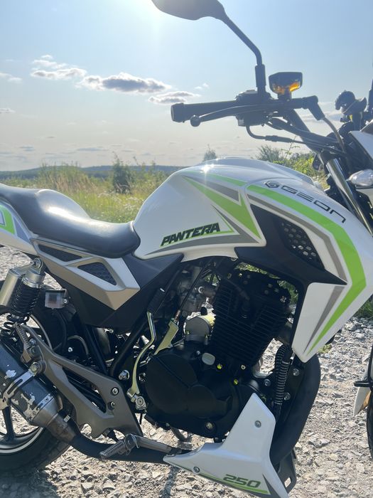 Geon pantera 250