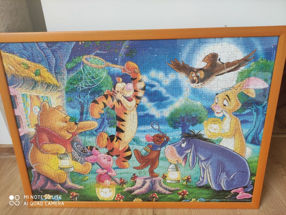Obraz z puzzli 1000szt