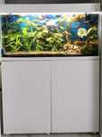 Akwarium 200l - zestaw Aquael OptiSet 200 biały
