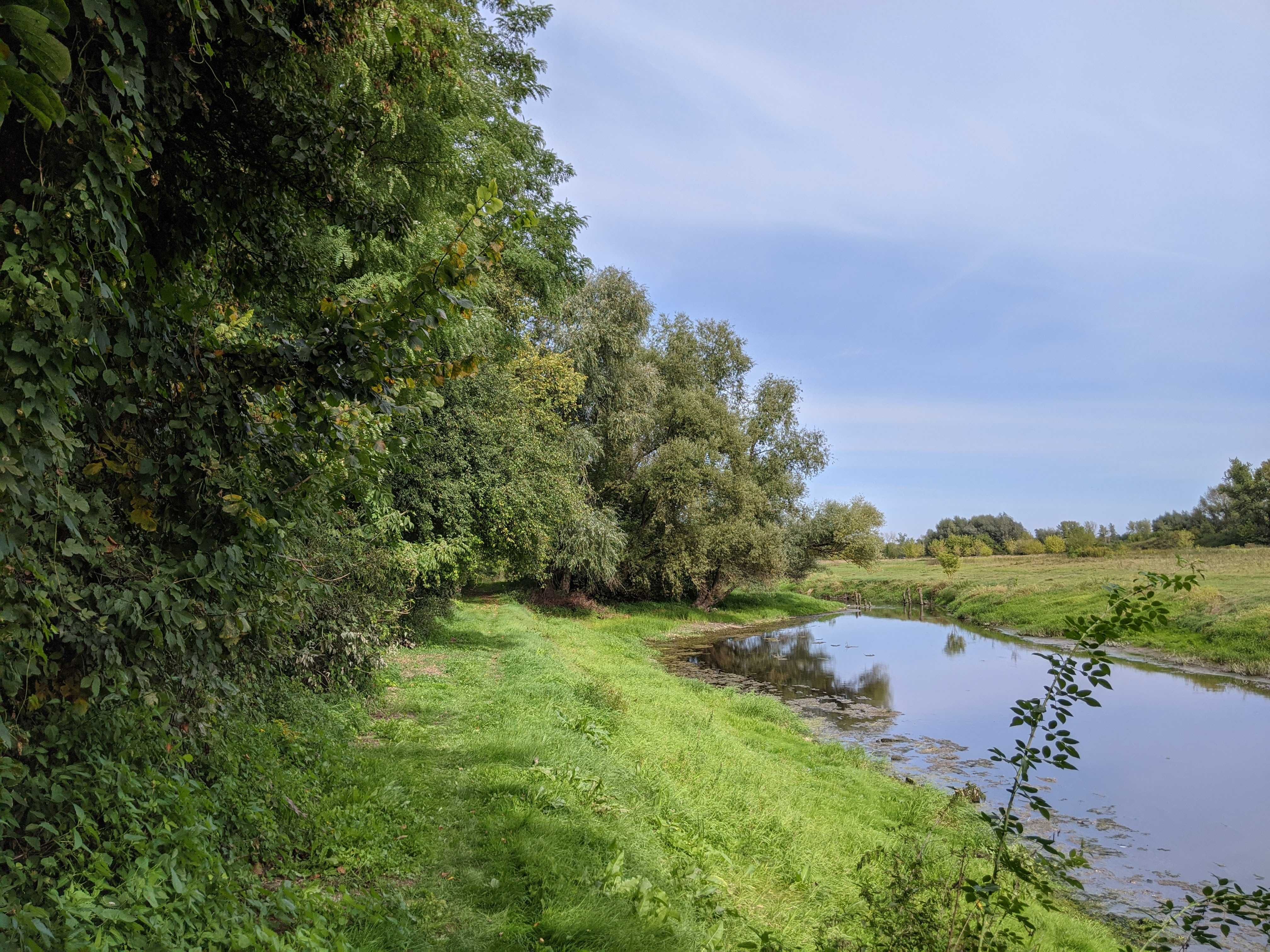 Noclegi ,domki kampingowe ,agroturystyka