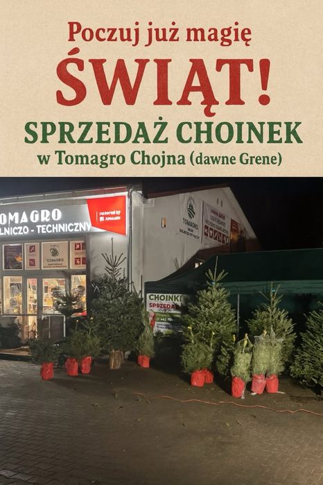 Sprzdaż  Choinek - Jodełek żywych z dowozem do domu grstis