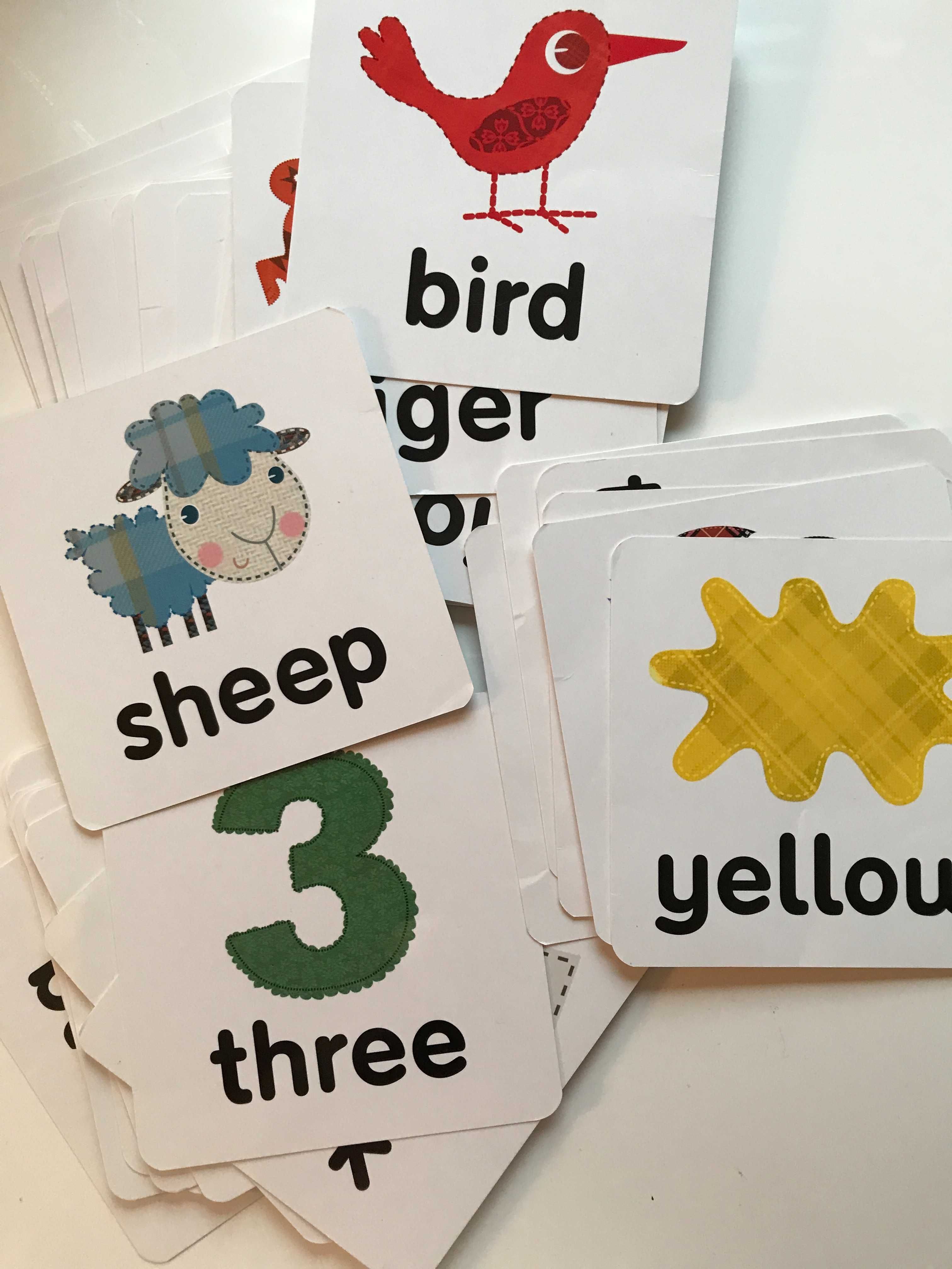 (ENG) Angielski dla dzieci. First Words with 40 Flash Cards English