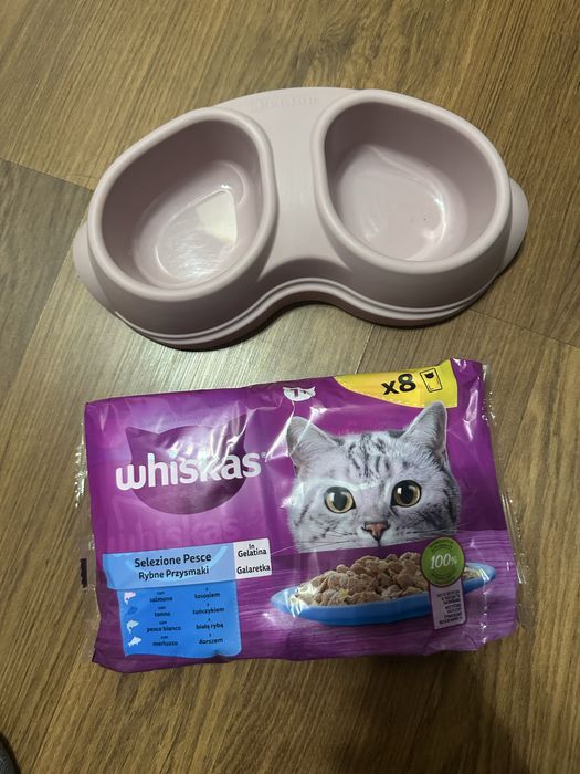 Spredam miskę i mokra karma dla kota nową