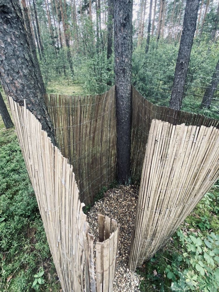 Las, zalew i ognisko – kameralny camping offline