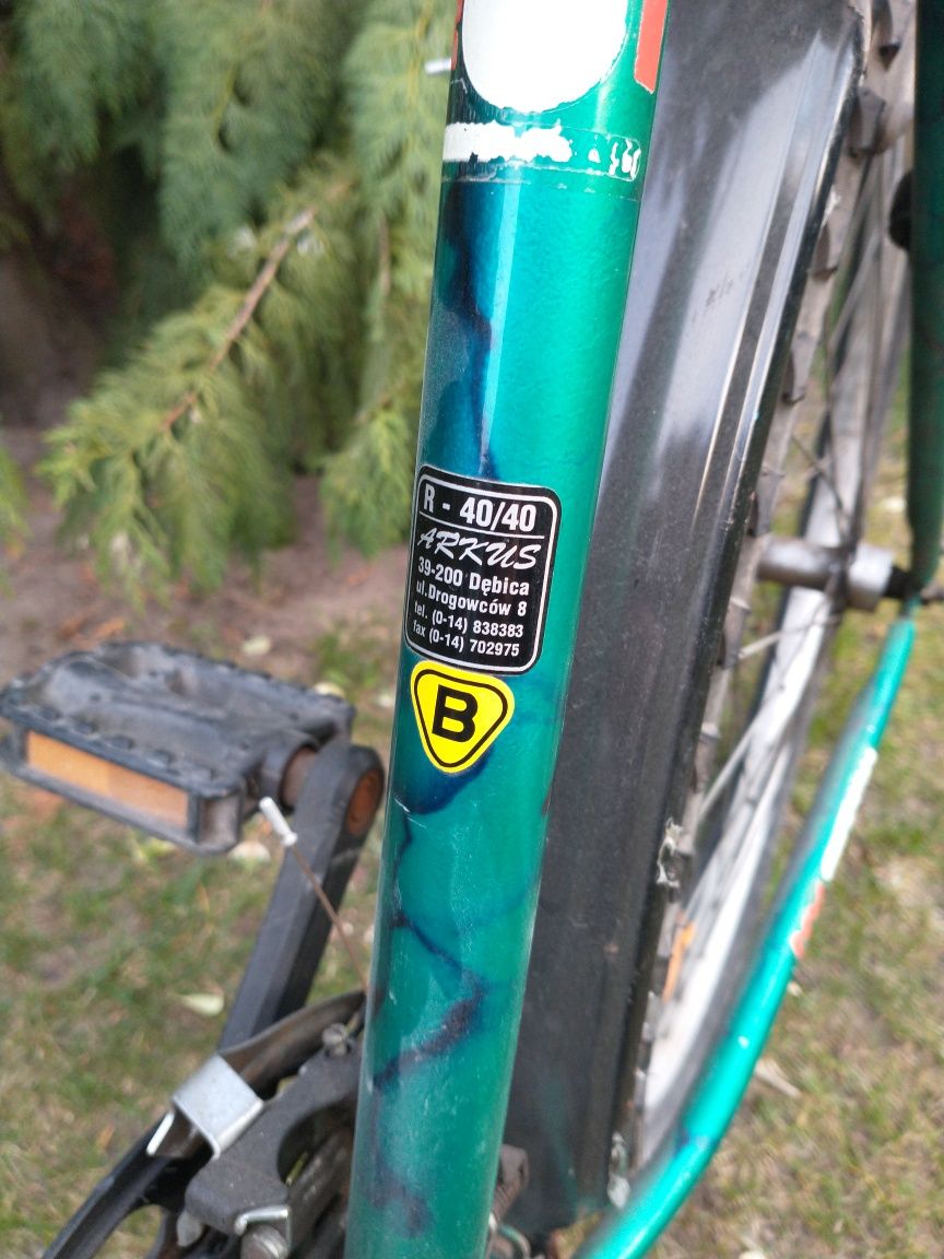 Arkus Forester MTB