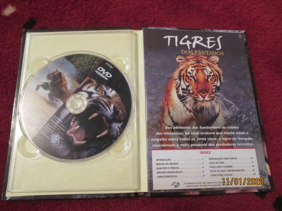 Tigres dos pantanos - dvd e pequeno livro