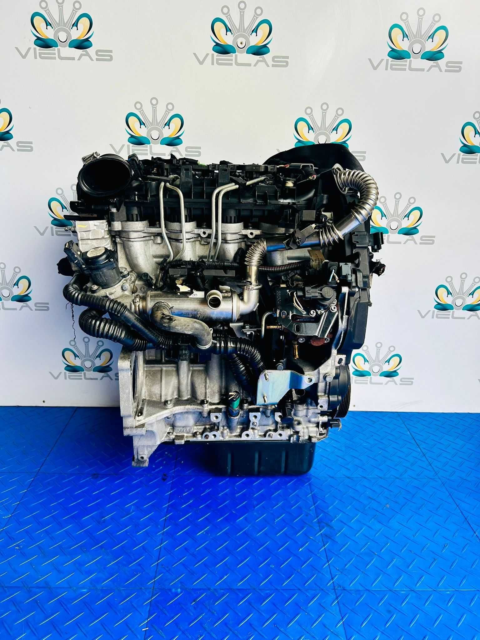 Motor 1.6 HDI 9HX 9HZ 9HY 9H03 9H01 HHDA G8DB