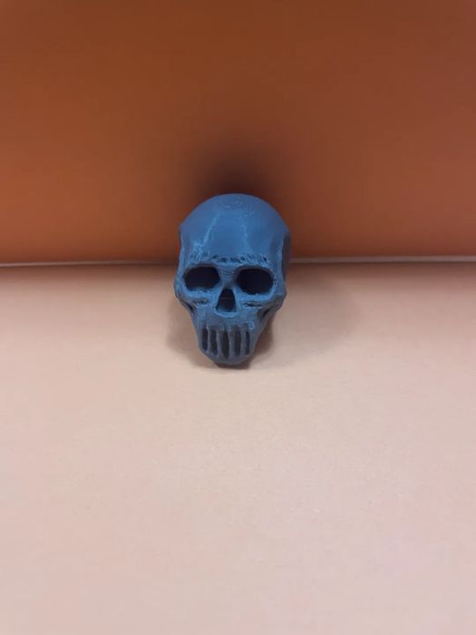 Crânio Assustador Detalhado