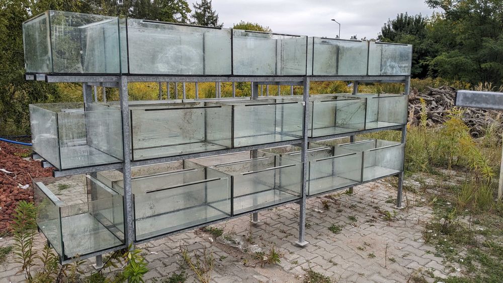 Zestaw Regał Akwarystyczny podwójny z akwariami pod wymiar, odnowione