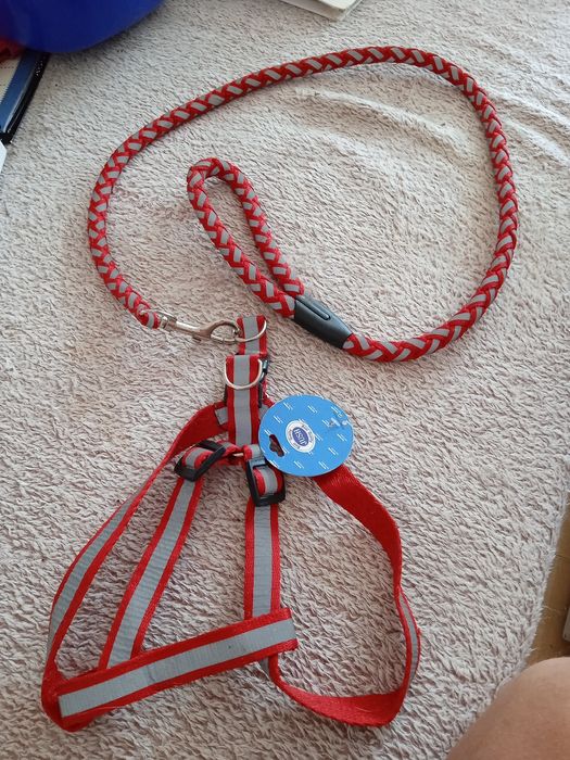 Szelki i smycz dla psa