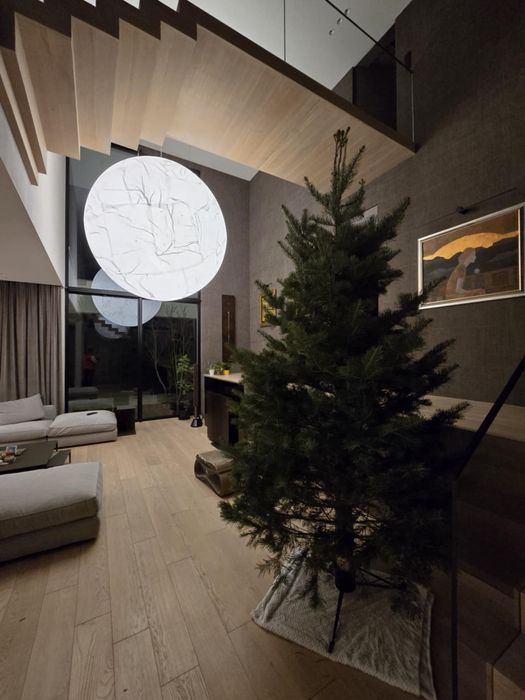 Wysokie choinki premium 3-4m jodła kalifornijska WŁASNA PLANTACJA