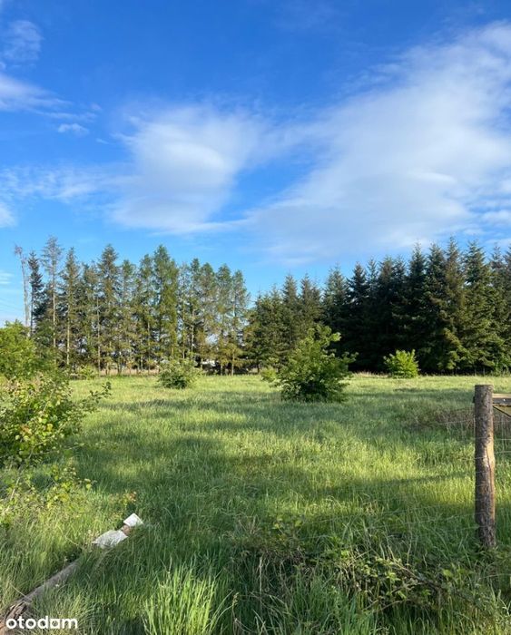 Piękna działka budowlana w Niedźwiedziu