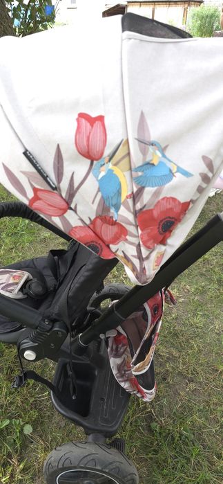 Триколісний велосипед Kinderkraft Easytwist Bird