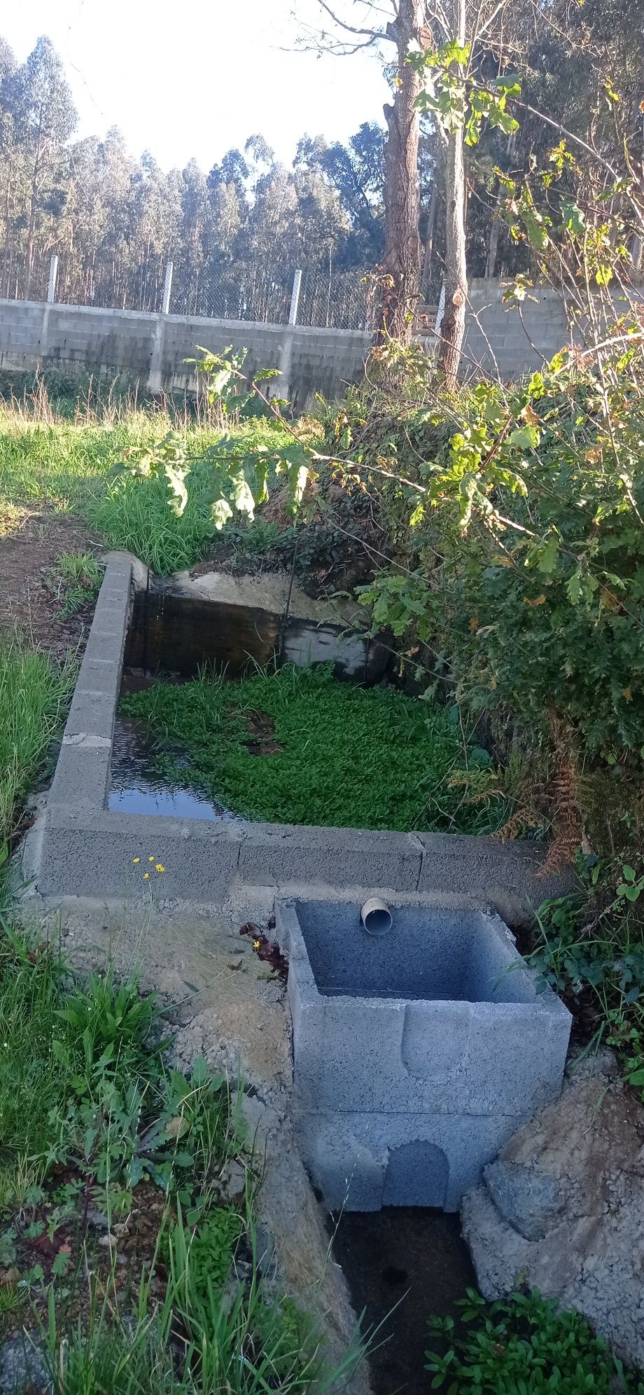 Vendo Terreno em vila maior santa Maria da feira