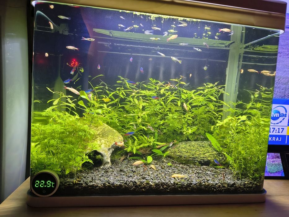 Designerskie oryginalne białe akwarium profilowane 50L LED INVITAL!