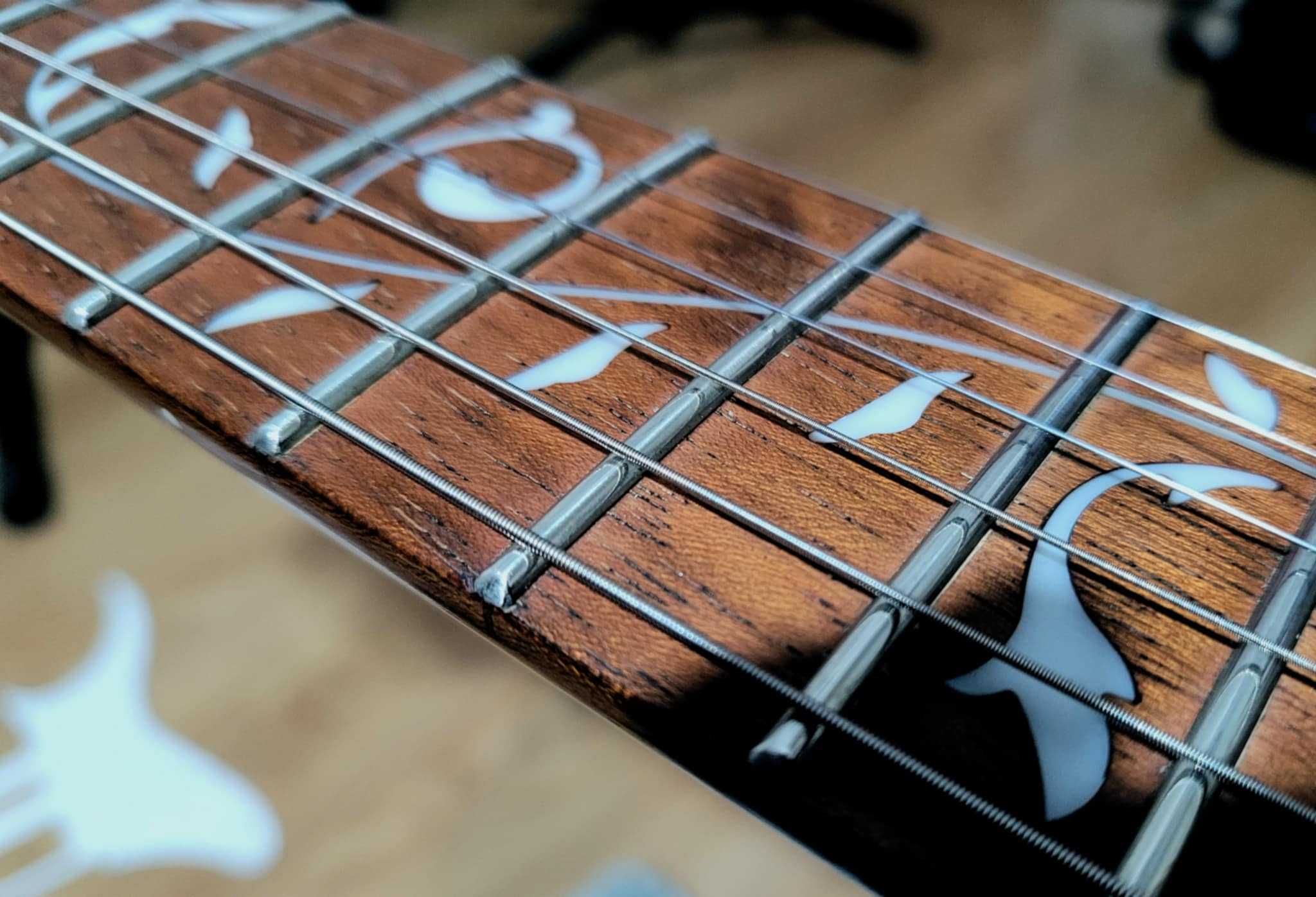 IBANEZ JEM (Steve Vai signature)