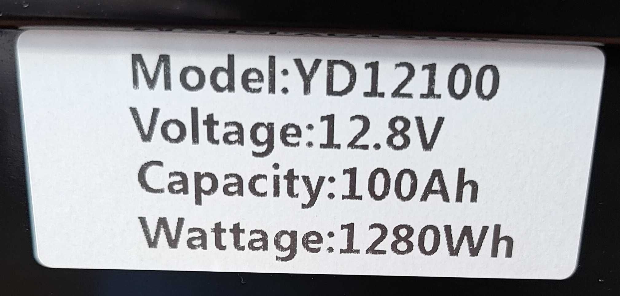 Акумулятор MOSEWORTH LiFePO4 12V/100AH BMS Bluetooth SMART + зарядка