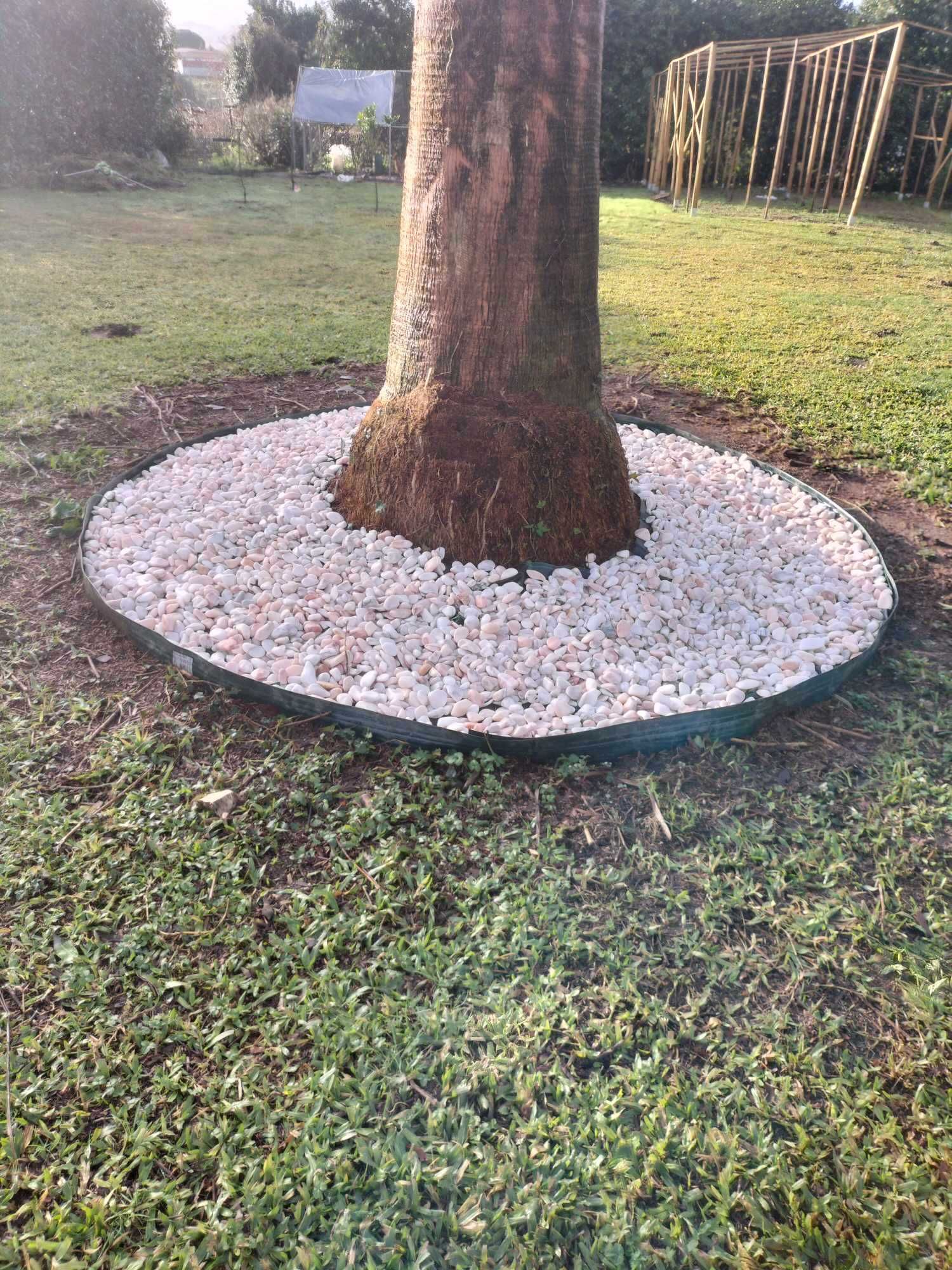 Jardineiro João em Braga