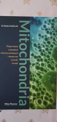 Mitochondria. Diagnostyka uszkodzeń mitochondrialnych i skuteczne meto