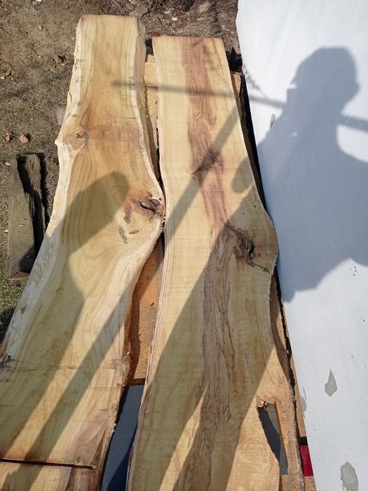 Дошка шовковиця (морва) 50мм