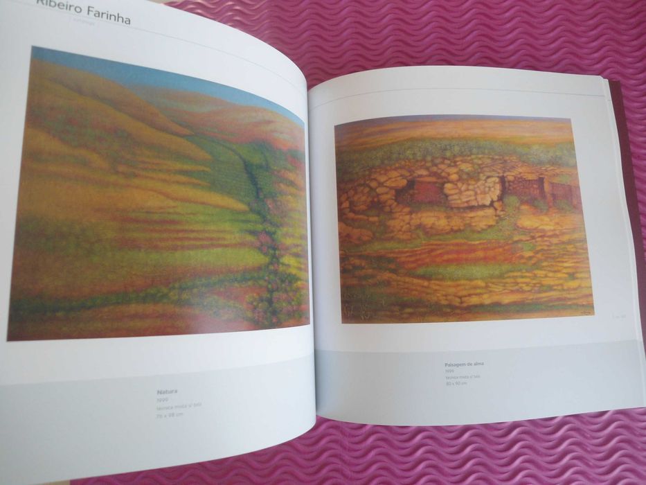 O rio a alargar as margens de Ribeiro Farinha