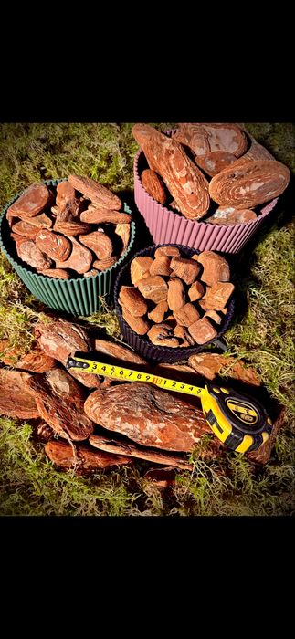 Кора галтована для орхідеї та мох зелений.