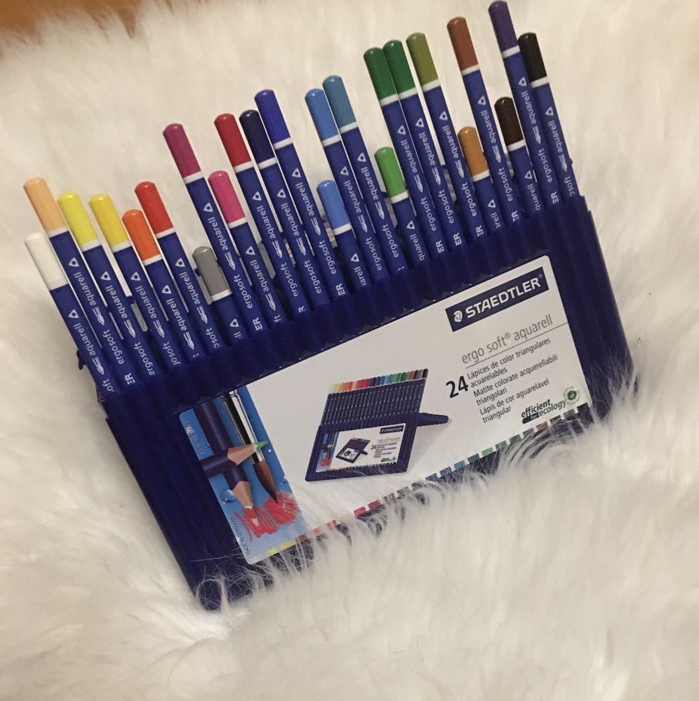 Material Escolar de 24 Lapis de Cor da Staedtler